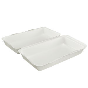 Menu box bílý XPS 246x150x60 mm AP10
