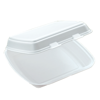 Menu box 1-dílný XPS 250x200x70 mm (dvou zámkový) HP-1