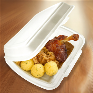 Menu box 1-dílný XPS 250x200x70 mm (dvou zámkový) HP-1