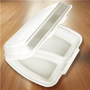 Menu box 2-dílný XPS 250x200x70 mm (dvou zámkový) HP-2 