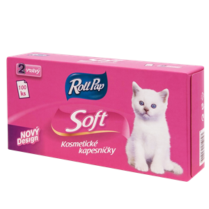 Papírové kapesníčky 2vr. v boxu