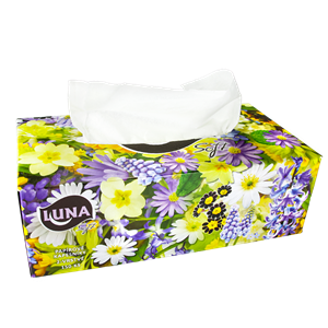 Papírové kapesníčky 2vr. v boxu