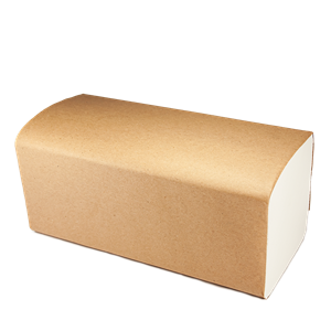 Papírový ručník Z-Z 2vr. bílý