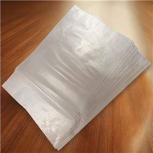 Igelitový sáček LD-PE 20x30 cm transp.