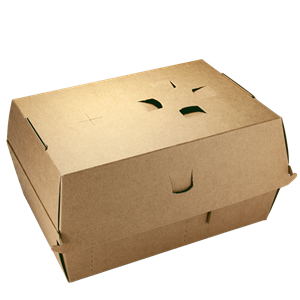 Hamburger box / krabička EKO na hamburger 190x130x100 mm s přepážkou kraft