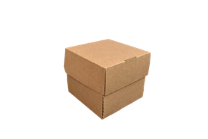 Hamburger box / krabička EKO na hamburger 118x120x106 mm kraft