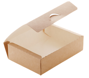 Papírový box EKO na jídlo 120x85x50 mm hnědý 500 ml ideal pack®