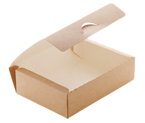 Papírový box EKO na jídlo 165x115x45 mm hnědý 700 ml