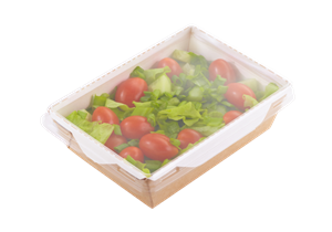 Papírový box / miska EKO na salát 165x120x45 mm hnědý s transp. víčkem