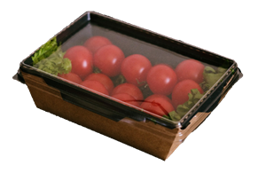 Papírový box / miska EKO na salát 165x120x45 mm hnědo-černý s transp. víčkem