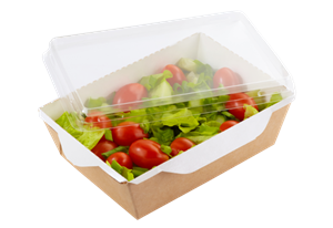 Papírový box / miska EKO na salát 165x165x65 mm hnědý s transp. víčkem ideal pack®