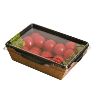 Plastové víčko PET na misku 207x127 mm transparentní 