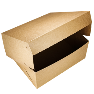 Krabice na dort papírová EKO 25x25x10 mm KRAFT ideal pack®