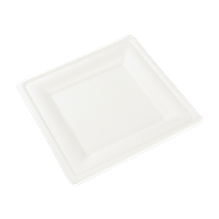 Talíř z cukrové třtiny 16 x 16 cm čtvercový bílý