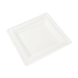 Talíř z cukrové třtiny 16 x 16 cm čtvercový bílý