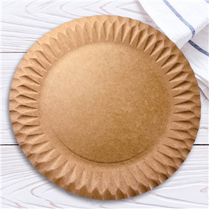 Papírový talíř EKO 23 cm kraft ideal pack®