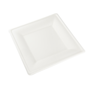 Talíř EKO z cukrové třtiny 26 x 26 cm čtvercový bílý
