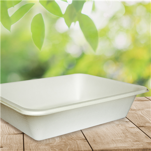 EKO - BIO zatavovací miska 1D cukrová třtina 227x178x50 mm bílá