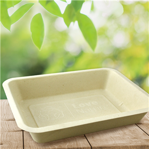 EKO - BIO zatavovací miska 1D cukrová třtina 227x178x45 mm béžová