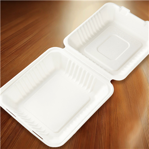 Menu box z cukrové třtiny 200x210x85 mm 1-dílný bílý