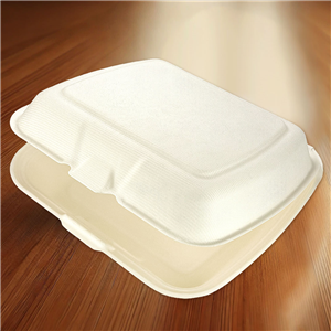 Menu box z cukrové třtiny 230x205x40/70 mm 1-dílný bílý