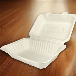 Menu box z cukrové třtiny 230x158x46/80 mm 1-dílný bílý