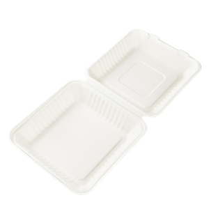 Menu box z cukrové třtiny 235x227x50/80 mm 1-dílný bílý