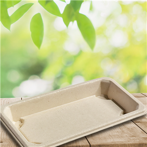 Miska EKO z cukrové třtiny na SUSHI 164x89x21 mm béžová