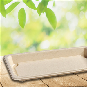 Miska EKO z cukrové třtiny na SUSHI 221x92x21 mm béžová