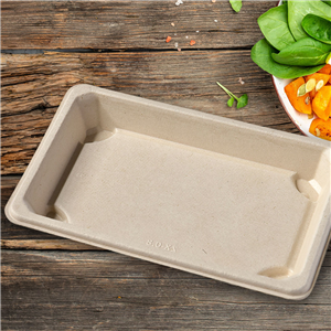 Miska EKO z cukrové třtiny na SUSHI 165x110x21 mm béžová