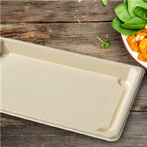 Miska EKO z cukrové třtiny na SUSHI 216x136x20 mm béžová